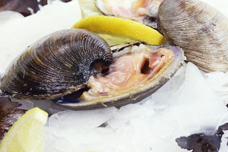 photo du plateau de fruits de mer le comptoir